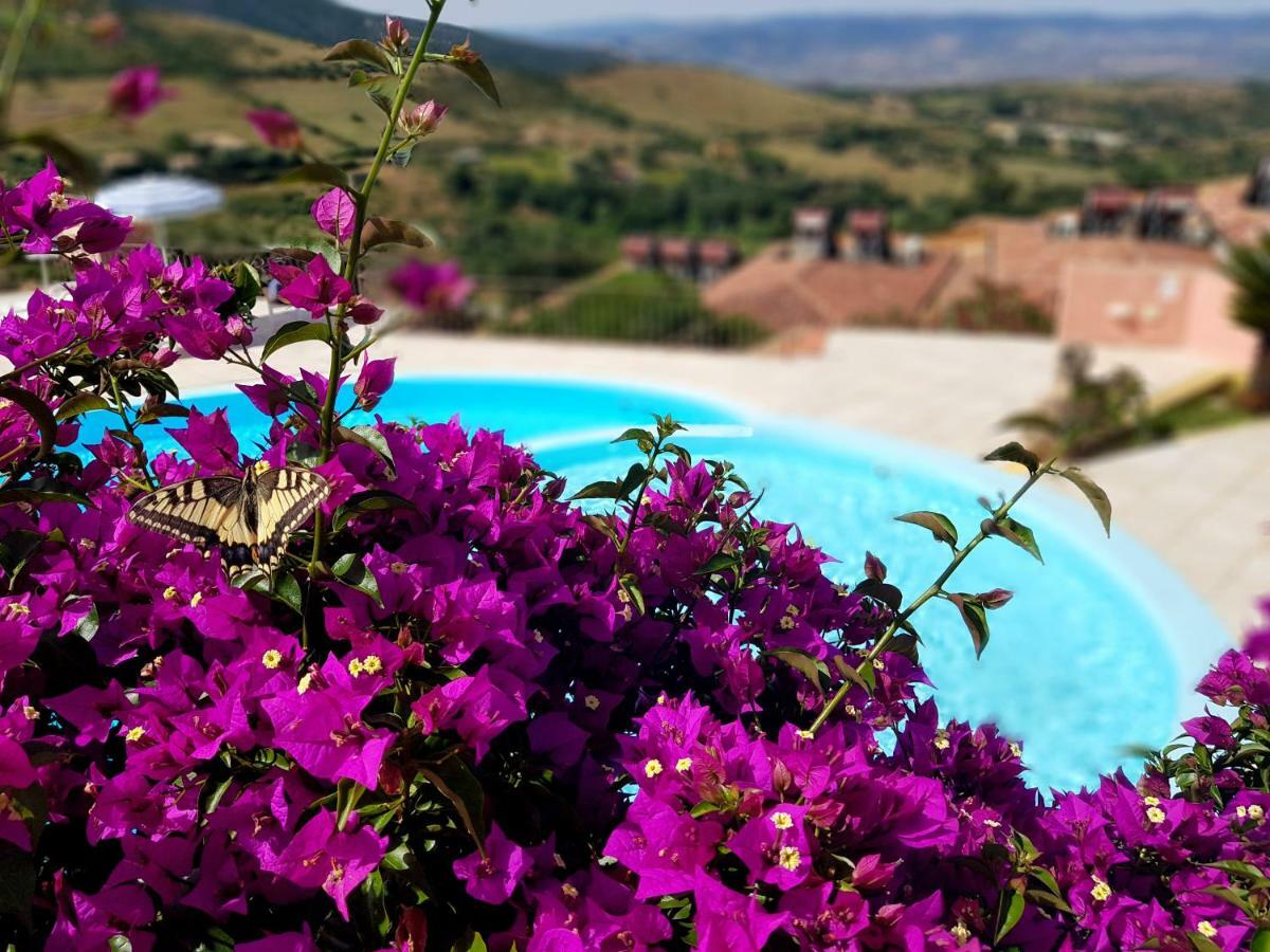 Residence Pala Stiddata With Panoramic Swimming Pool Trinita d'Agultu e Vignola Екстер'єр фото